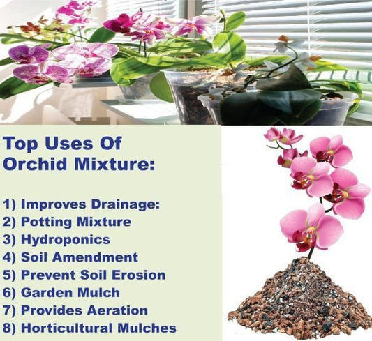 Orchid Potting Mixture - Orchid Plants Ready to Use 350gm -