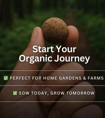 Organic Seedballs Pack of 6 ( Tulsi , Sungold , Sunflower & Morning Star ) - Harappakart