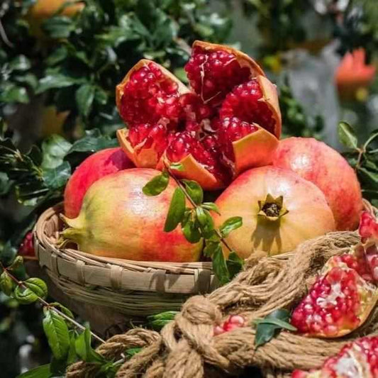 Pomegranate Seeds Pack of 2 - Harappakart