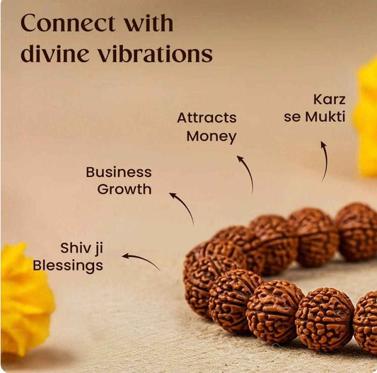 7 Mukhi Rudraksha Bracelet - Harappakart