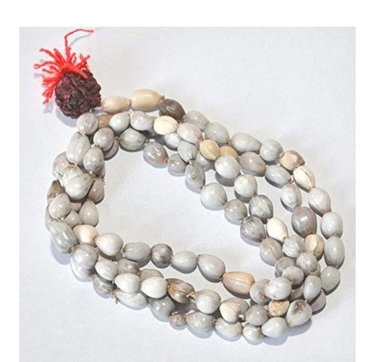 Original Vaijayanti Mala With Rudraksha Moira Stone - Harappakart