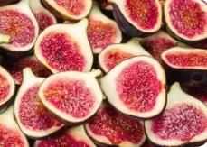 Fig Tree Seeds - Harappakart