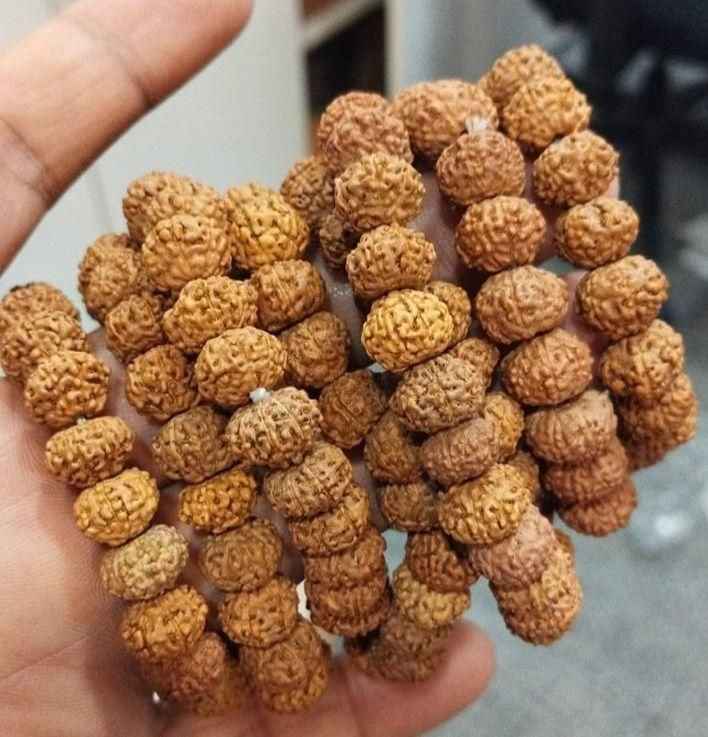 7 Mukhi Rudraksha Bracelet - Harappakart