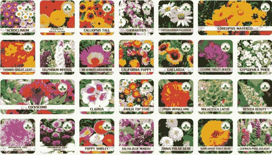 Buy Varieties of Flower Seeds (Pack of 100) And Get Plant Growth Supplement Free - Harappakart