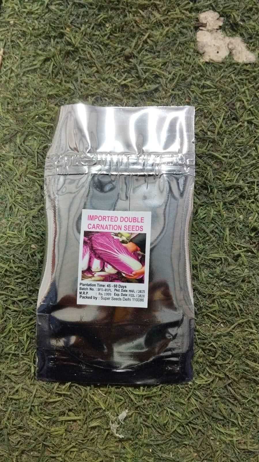 Purple Cabbage Seeds - Harappakart