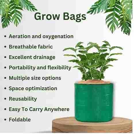 Organic Mix Varieties 100 Pices Seeds With 5 Pices Grow Bag - Harappakart