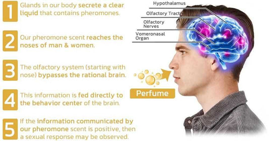 Scientifically Verified and Proven Effective Dopamine Ring - Harappakart