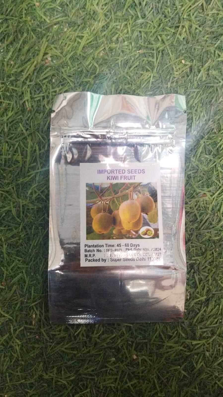 Kiwi,Juicy, Sour And Sweet, Suitable For Home Planting - Harappakart