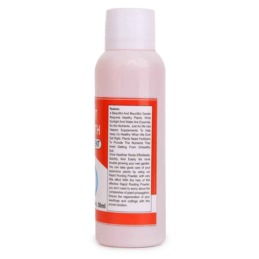 Elegant Climbing Rose Flower Seeds - Harappakart