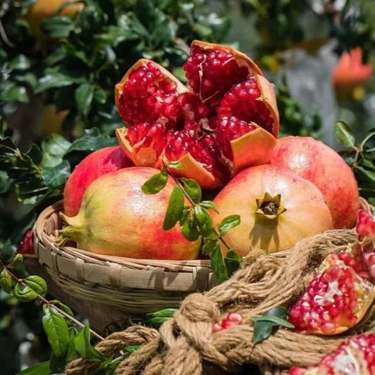 Pomegranate Seeds Pack of 1 - Harappakart