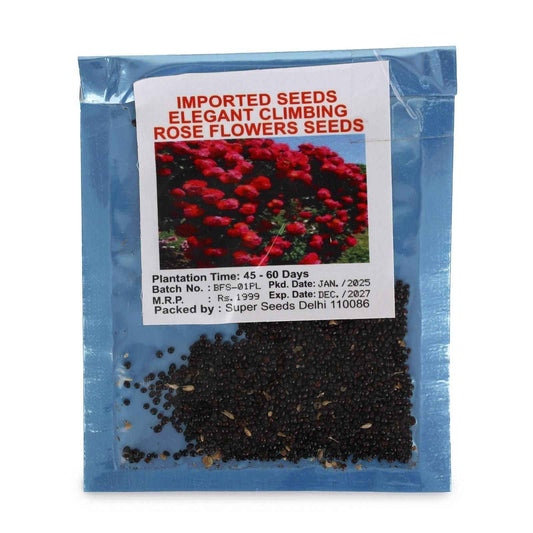 Elegant Climbing Rose Flower Seeds - Harappakart