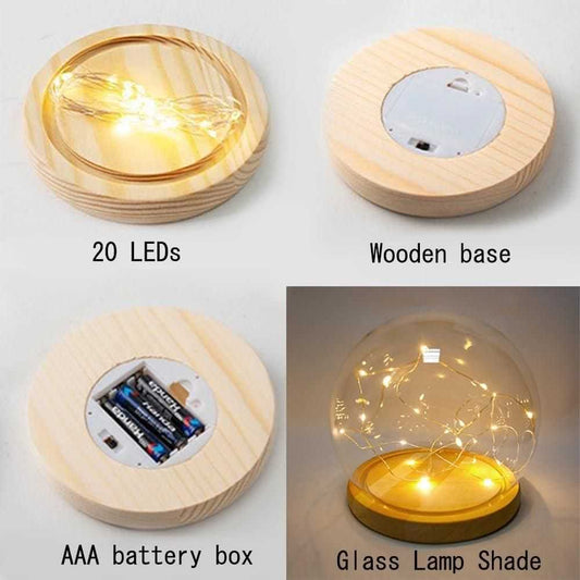 Round Tulip Light - Harappakart