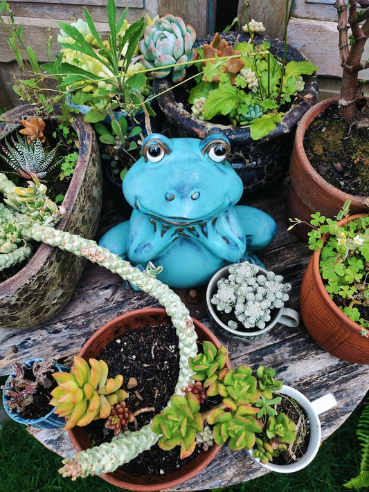 a blue frog sitting on top of a wooden table