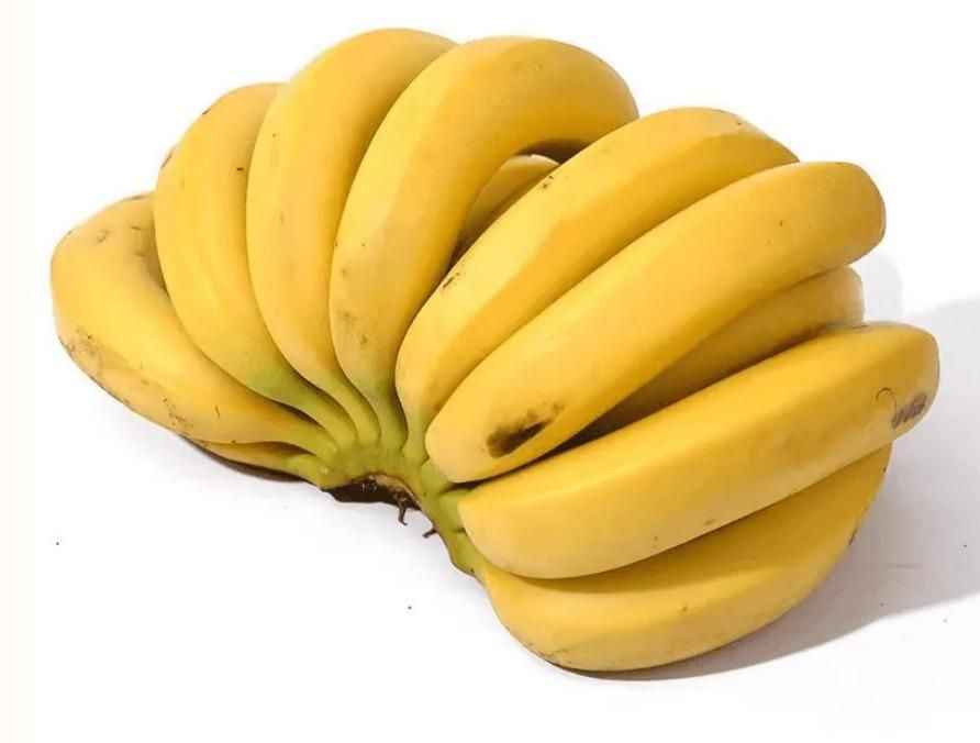 Banana Seeds |Growing Banana Trees From Seeds