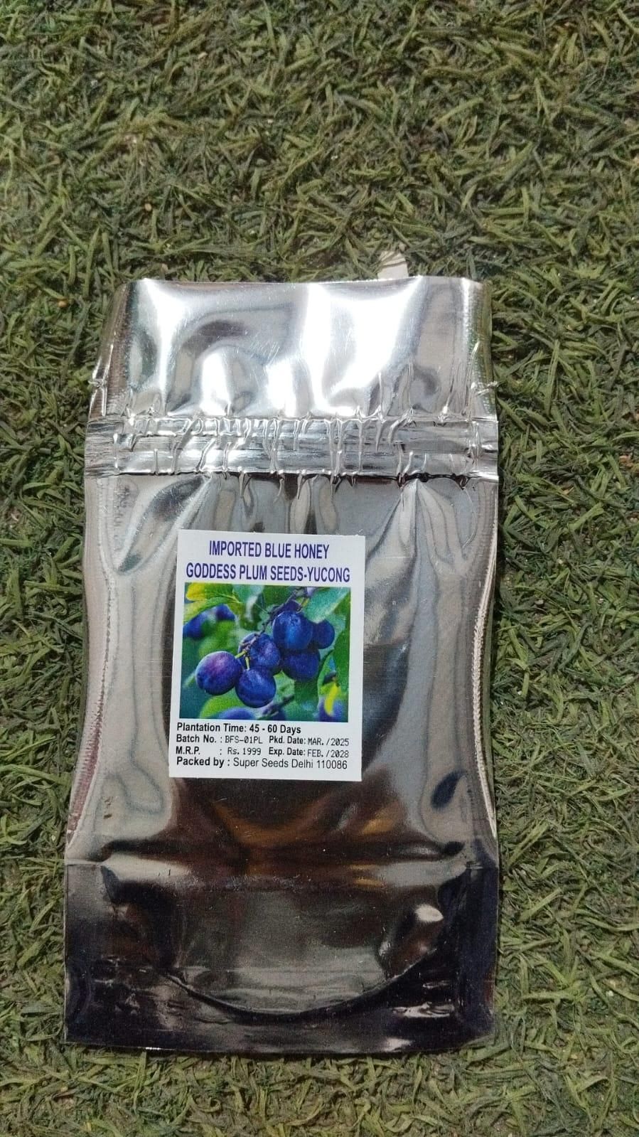 Blue Honey Goddess Plum Seeds - Harappakart