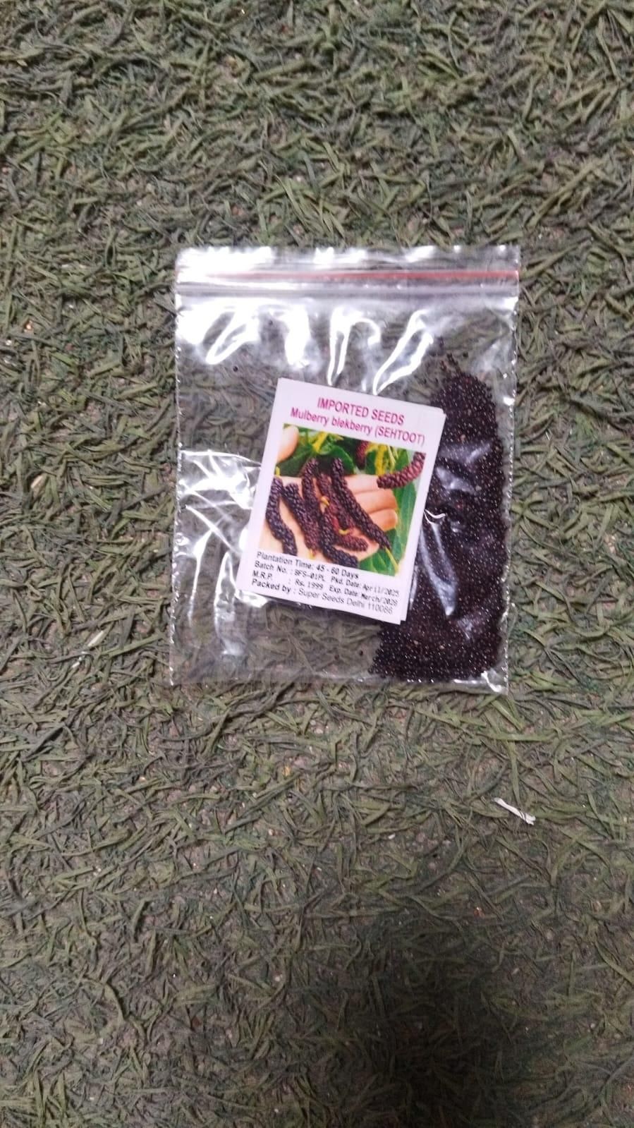 Mulberry Blackberry Fruit Mix Seeds - Harappakart