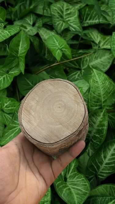 Jamun Wood Pack of 1 -