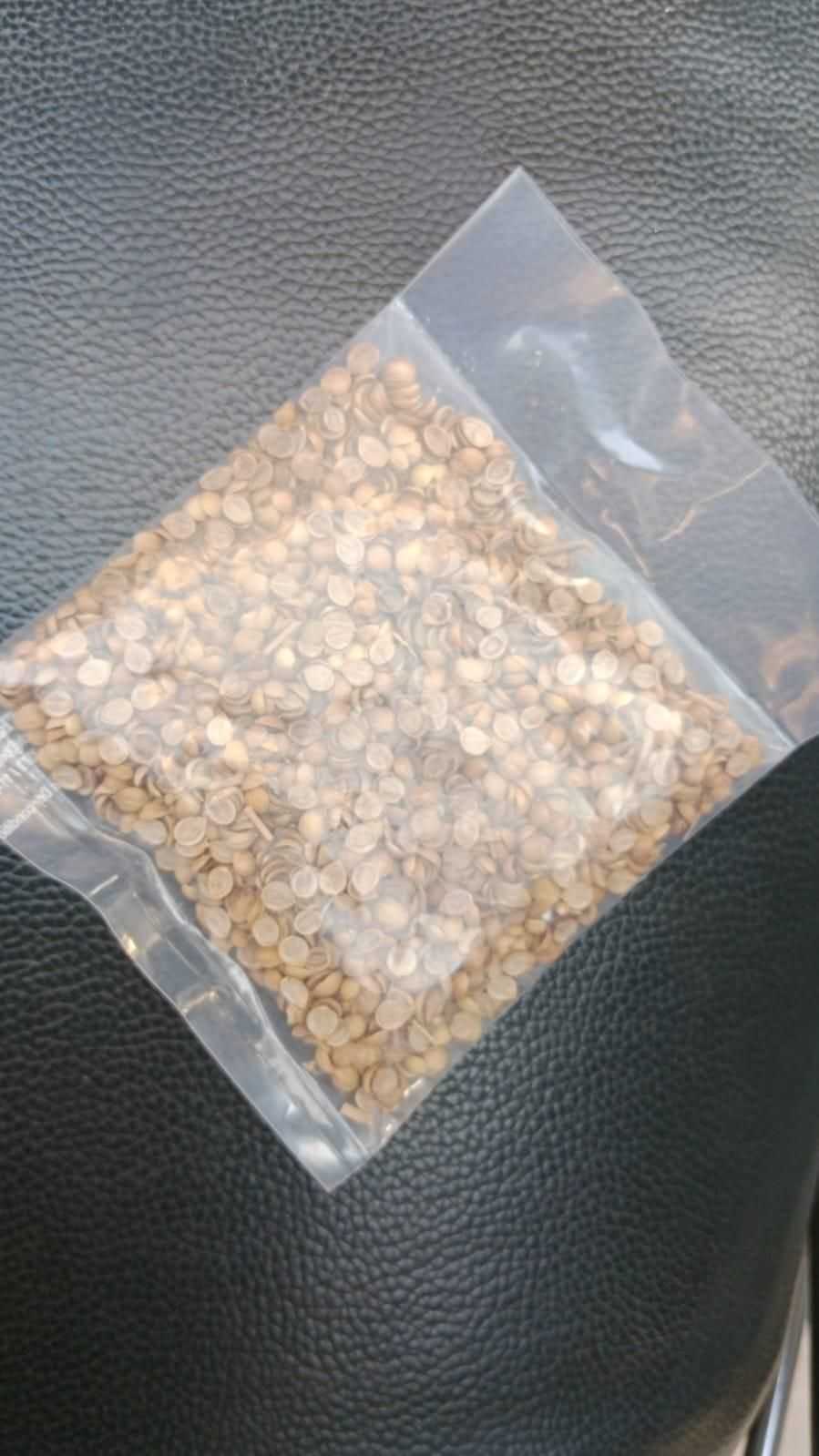 Organic Coriander seeds for Gardening (Pack of 20) - Harappakart