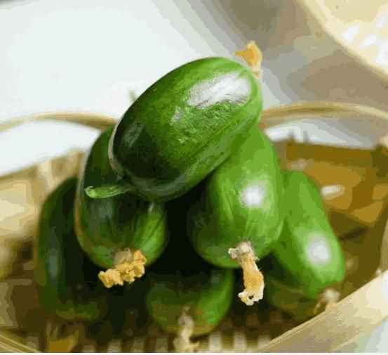Cucumber-Golden Boy Lady Cucumber - Harappakart