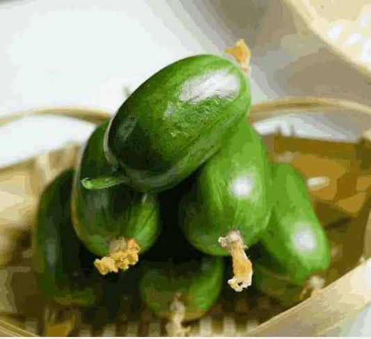 Cucumber-Golden Boy Lady Cucumber - Harappakart