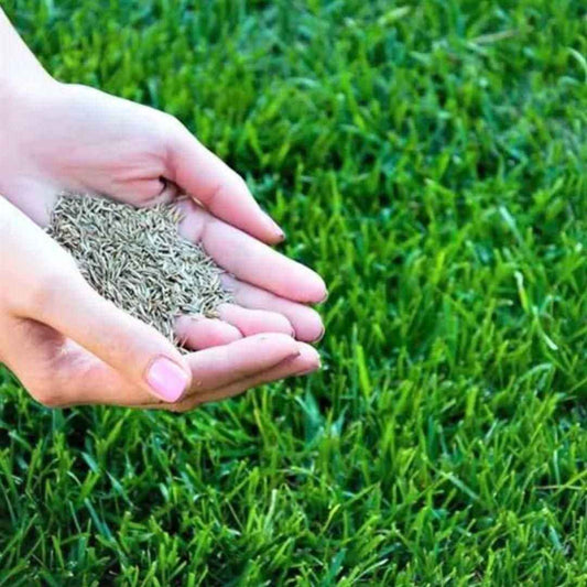 Herbicide Granules Grass Beautiful Home Gardening Pack of 2 - Harappakart