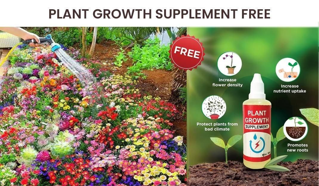 Buy Varieties of Flower Seeds (Pack of 100) And Get Plant Growth Supplement Free - Harappakart