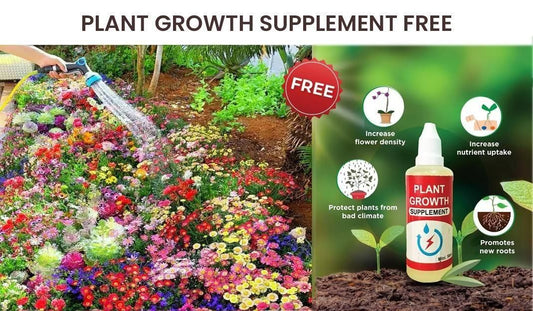 Buy Varieties of Flower Seeds (Pack of 100) And Get Plant Growth Supplement Free - Harappakart