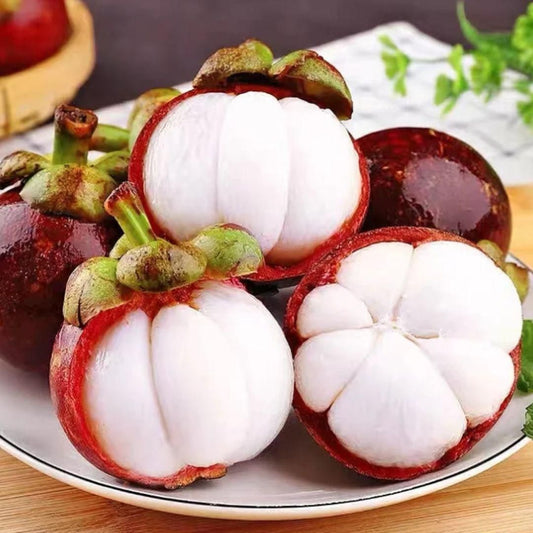 Mangosteen Seeds - Harappakart