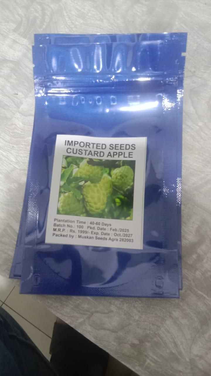 Custard Apple Seeds - Harappakart
