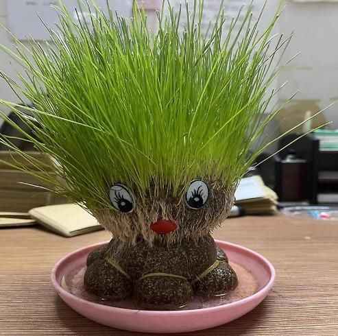 Octopus Grass Doll Grow Bag Pots - Harappakart