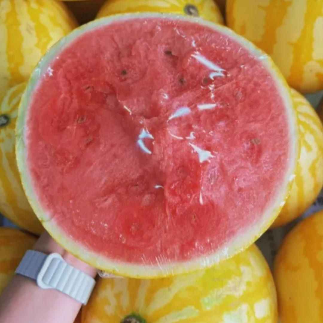 Golden Red Watermelon Seeds - Harappakart