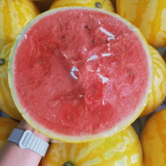Golden Red Watermelon Seeds - Harappakart