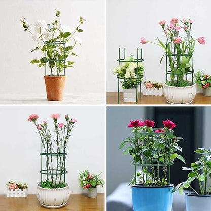 3 Layer Plant Support Cage - Harappakart