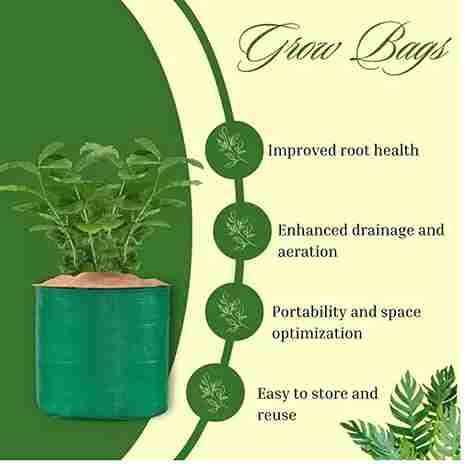 Organic Mix Varieties 100 Pices Seeds With 5 Pices Grow Bag - Harappakart