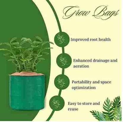 Organic Mix Varieties 100 Pices Seeds With 5 Pices Grow Bag - Harappakart