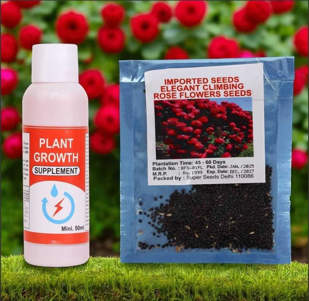 Elegant Climbing Rose Flower Seeds - Harappakart