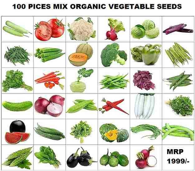 Organic Mix Varieties 100 Pices Seeds With 5 Pices Grow Bag - Harappakart