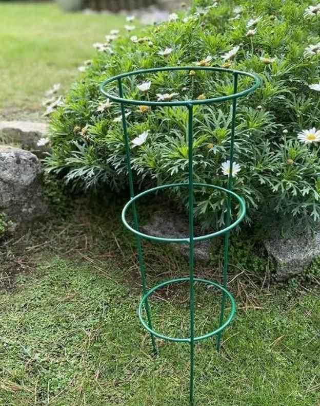 3 Layer Plant Support Cage - Harappakart