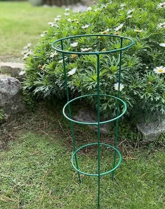 3 Layer Plant Support Cage - Harappakart