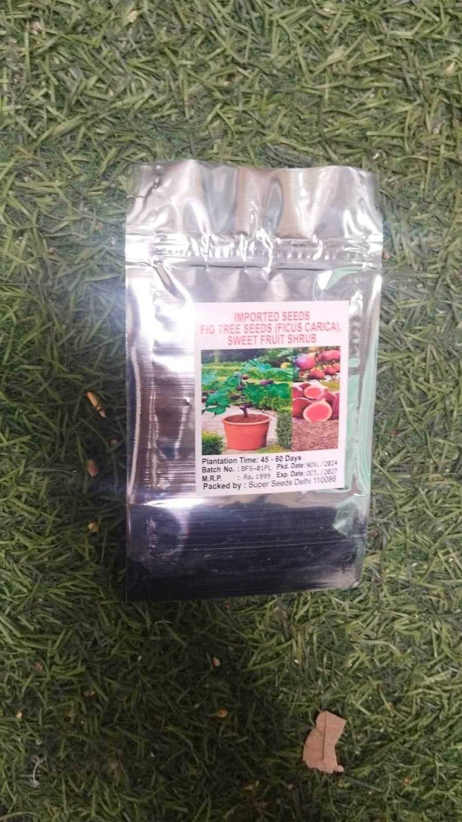 Fig Tree Seeds - Harappakart