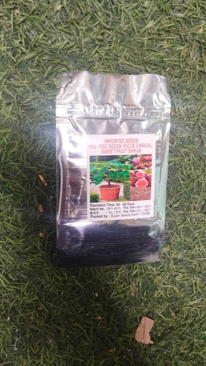 Fig Tree Seeds - Harappakart