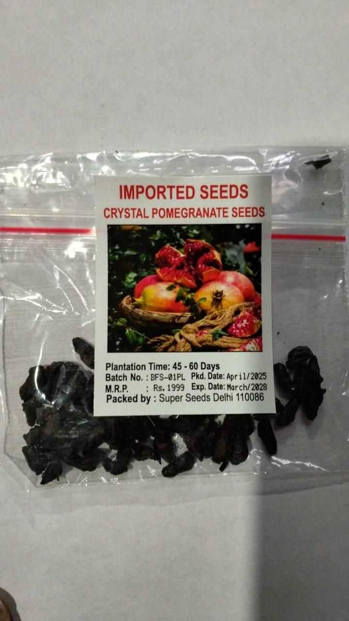 Pomegranate Seeds Pack of 2 - Harappakart