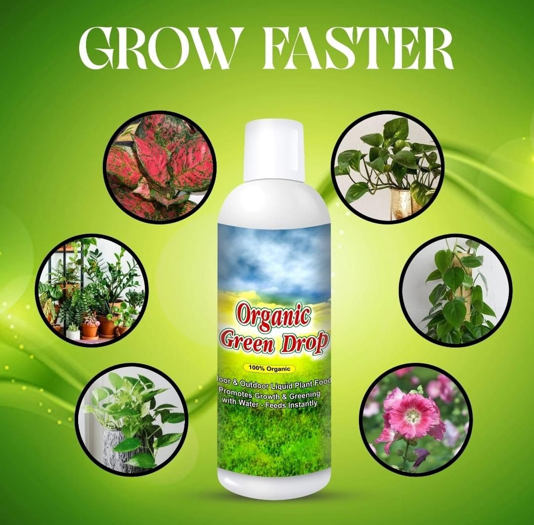 Organic GreenDrop Plant Food Liquid Fertilizer For Plant Growth & Greening Pack of 2 - Harappakart