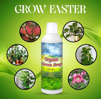 Organic GreenDrop Plant Food Liquid Fertilizer For Plant Growth & Greening Pack of 2 - Harappakart
