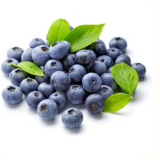 Giant Blueberry Fruit Seeds - Harappakart