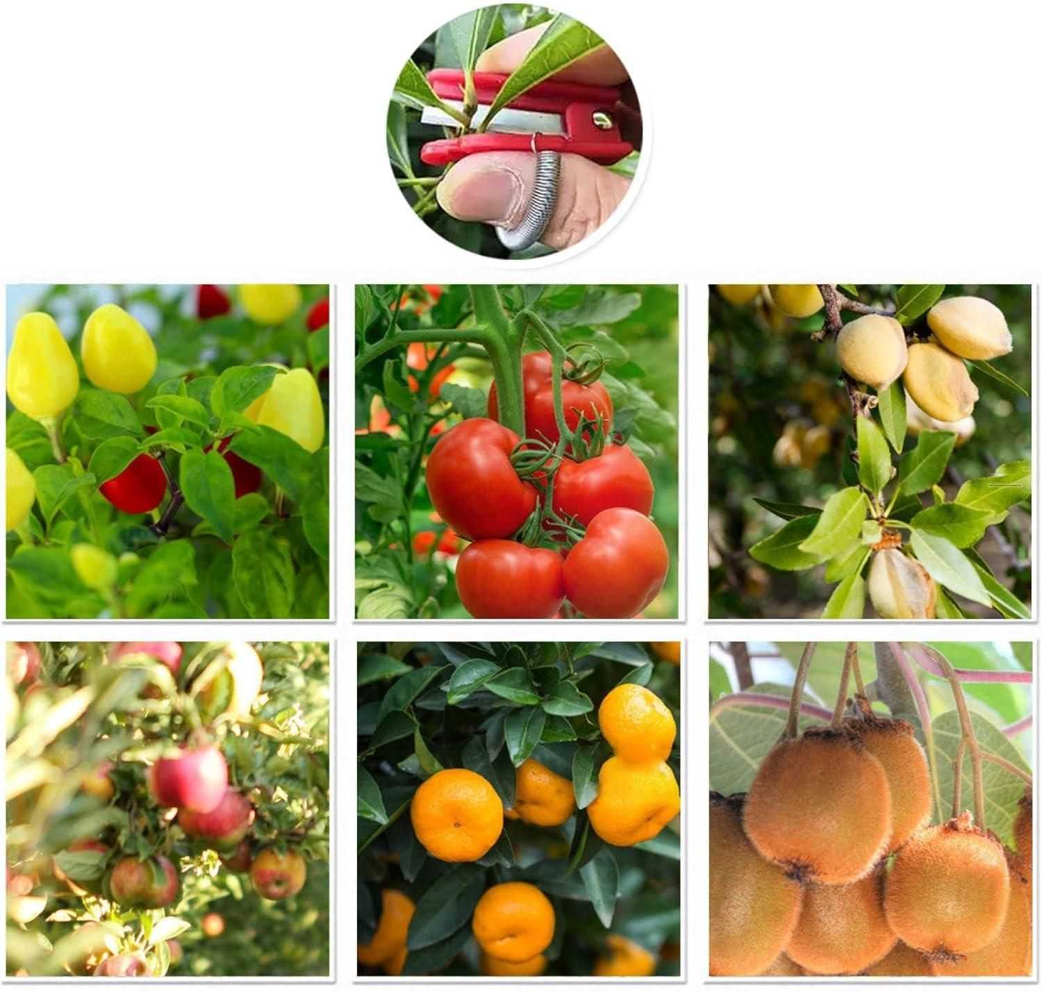 Thumb Cutter Tool Gardening - Harappakart