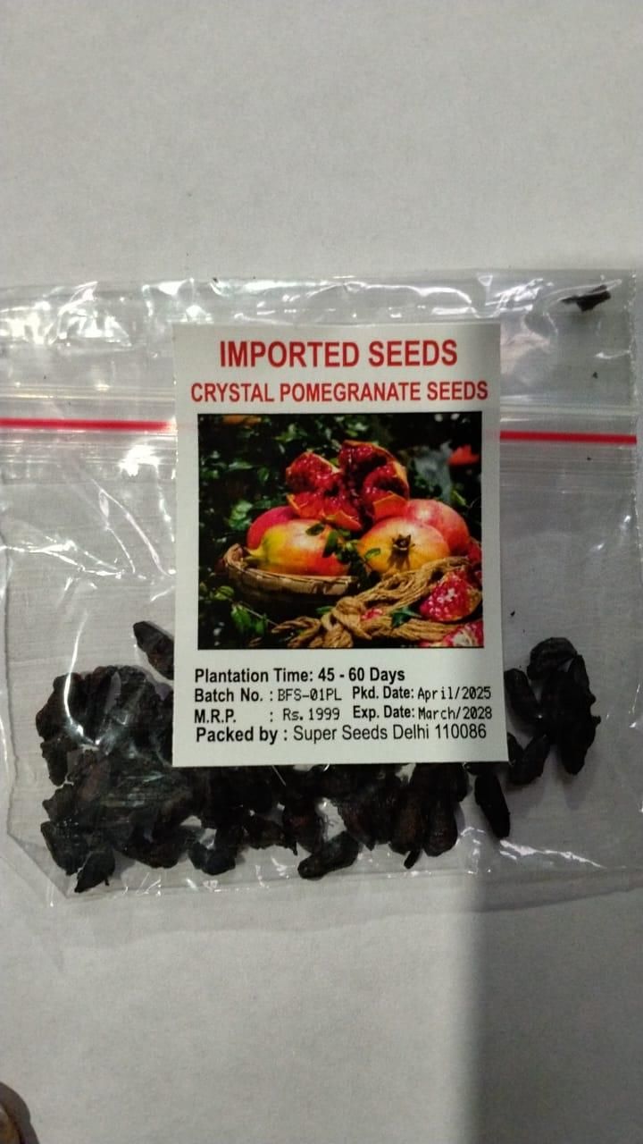 Pomegranate Seeds Pack of 1 - Harappakart