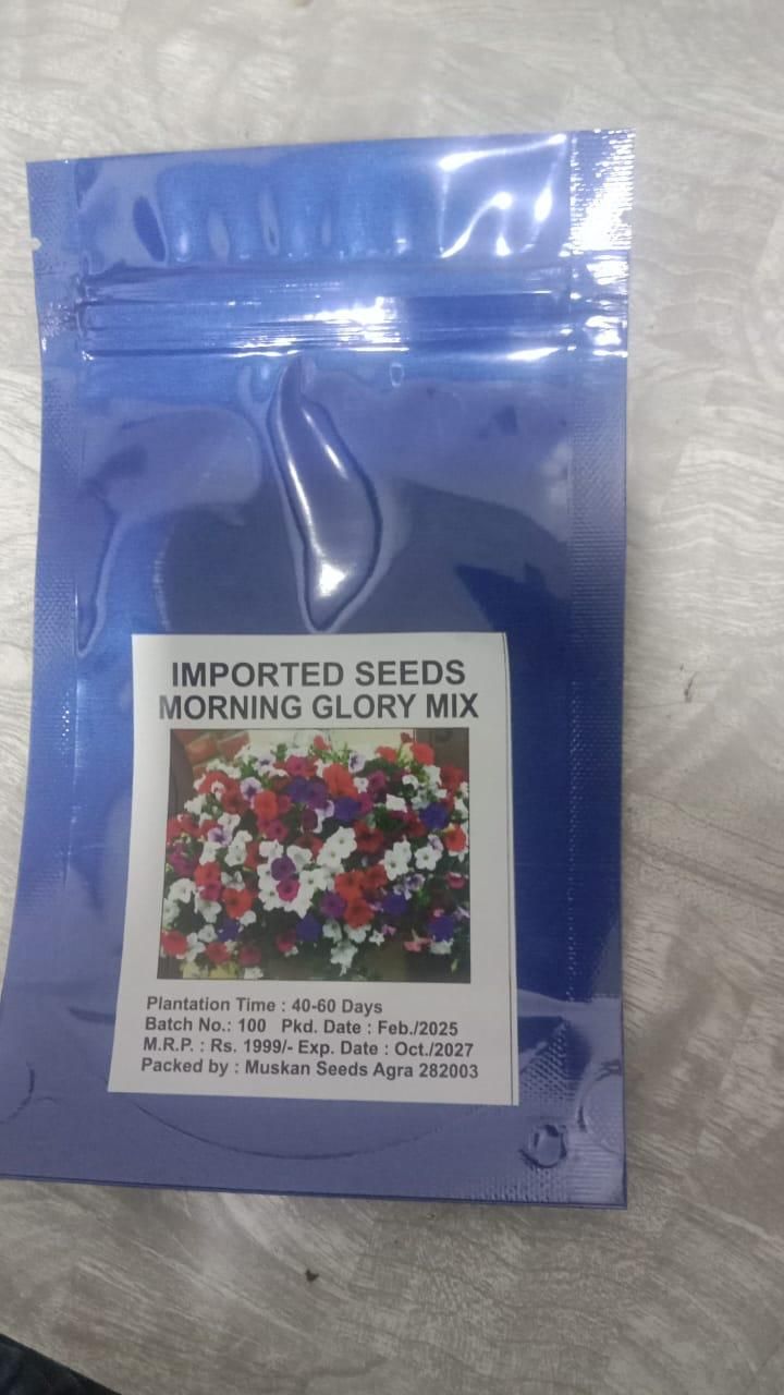 Mix Colour Morning Glory Mix Flower Seeds For Home Garden - Harappakart