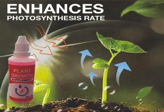 Plant Growth Enhancer Supplement (Pack of 2) - Harappakart