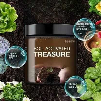 Soil Activated Treasure Premium Soil Activator 200gram (Pack of 2) - Harappakart